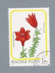 Stamps Hungary -  Flor