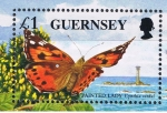 Sellos de Europa - Reino Unido -  Guersney   
