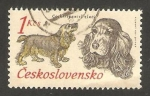 Stamps Czechoslovakia -  Perro de raza