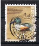 Stamps : Asia : China :  Northern Shoveler