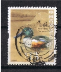 Sellos de Asia - China -  Northern Shoveler