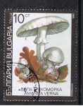 Stamps : Europe : Bulgaria :  Amanita verna