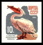 Stamps Europe - Russia -  pericano