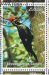 Stamps Guinea -  Animaux du monde