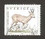 Stamps Sweden -  un corzo