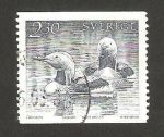 Stamps Sweden -  fauna, patos