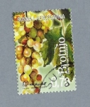 Stamps : Europe : Bosnia_Herzegovina :  Racimo