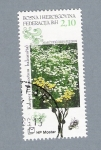 Stamps Bosnia Herzegovina -  Campo de margaritas