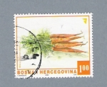 Stamps : Europe : Bosnia_Herzegovina :  Zanahorias