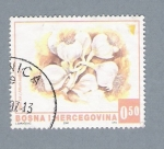 Stamps : Europe : Bosnia_Herzegovina :  Ajos
