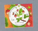 Stamps Croatia -  Sumska Jagoda
