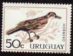 Sellos de America - Uruguay -  Pajaros del Uruguay 