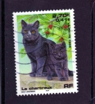 Stamps : Europe : France :  gato