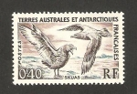 Stamps France -  aves, skuas