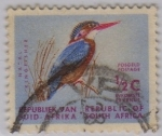 Sellos de Africa - Sudfrica -  natal