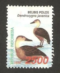 Stamps Indonesia -  fauna, dendrocygna javanica