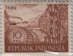 Stamps : Asia : Indonesia :  TEBU