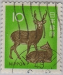 Stamps : Asia : Japan :  pareja de gamos