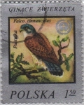 Stamps Poland -  Pustulka