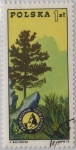 Stamps : Europe : Poland :  Polonia-19