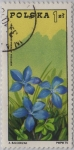 Stamps : Europe : Poland :  Polonia-20