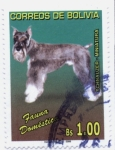 Stamps Bolivia -  Fauna Domestica - Perros