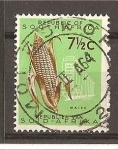 Stamps South Africa -  Leyenda Fina.