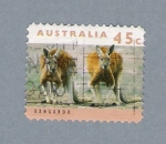 Stamps Australia -  Canguros