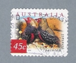 Stamps Australia -  Pajaritos