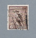 Stamps Australia -  Pajarito