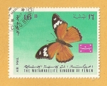 Sellos de Asia - Yemen -  Mariposa