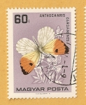 Sellos de Europa - Hungr�a -  Mariposa, Anthocharis cardamines