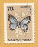 Sellos de Europa - Hungr�a -  Mariposa, Meleageria daphnis