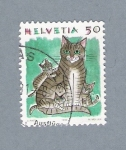 Stamps Switzerland -  Gato