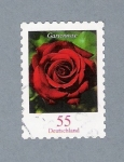 Stamps Germany -  Gartenrose