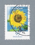 Stamps Germany -  Girasol