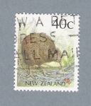 Sellos de Oceania - Nueva Zelanda -  Pico largo