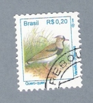 Stamps Brazil -  Pajarito