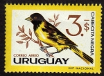 Stamps Uruguay -  CABECITA NEGRA
