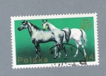 Stamps Poland -  Caballos