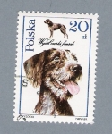 Stamps Poland -  Perro