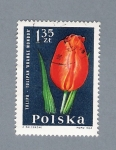 Stamps : Europe : Poland :  Pla