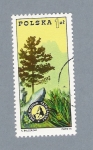 Stamps Poland -  Montaña