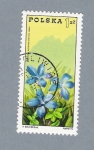 Stamps Poland -  Flor