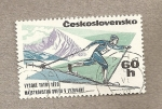 Sellos de Europa - Checoslovaquia -  Ski de travesía