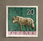 Sellos de Europa - Polonia -  Lobo