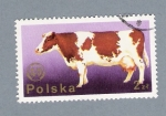 Stamps Poland -  Baca