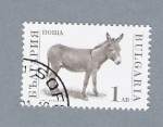 Stamps Bulgaria -  Burro