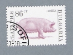 Sellos del Mundo : Europa : Bulgaria : Cerdo