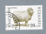 Stamps Bulgaria -  Oveja